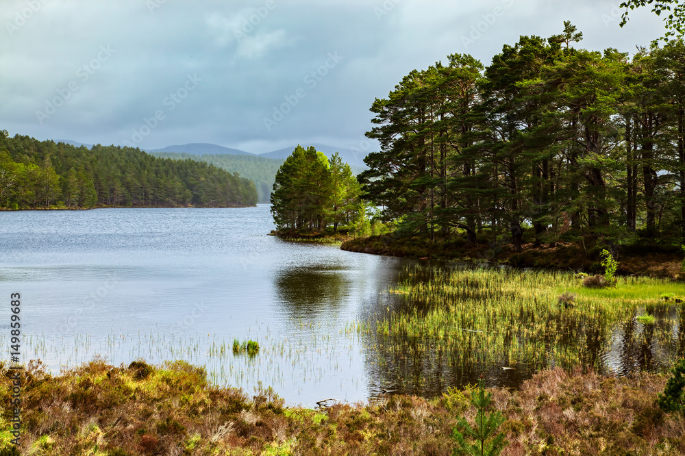 Scenic view of Loch Eilein