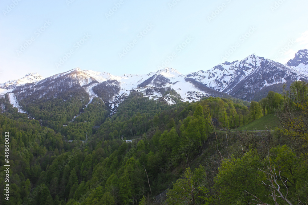 Mountain landscape. Snowy mountain range and green forest. Clear blue sky.