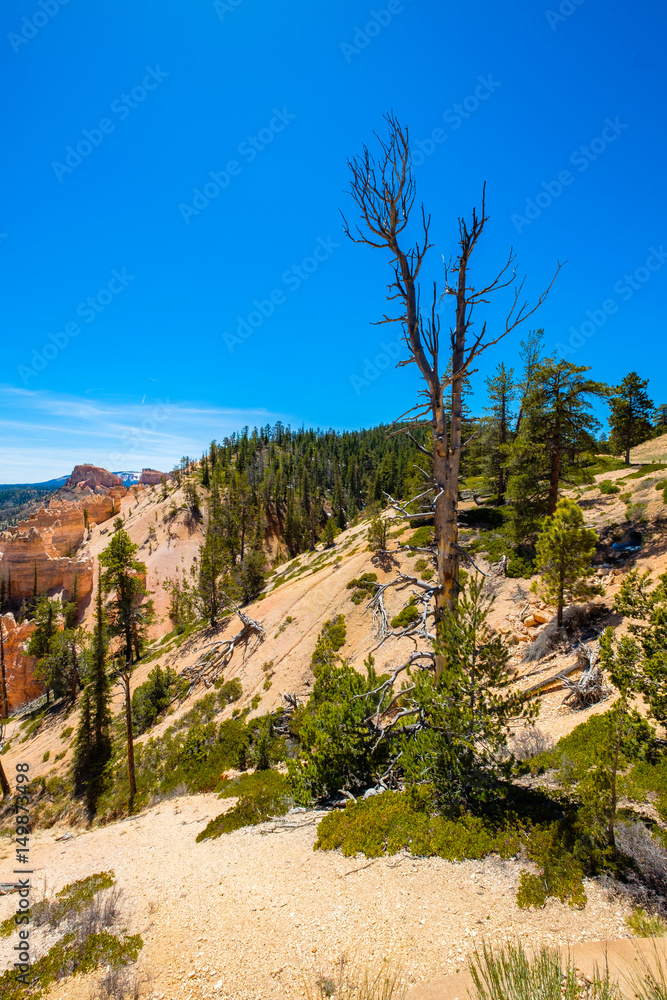 Bryce Canyon Utah