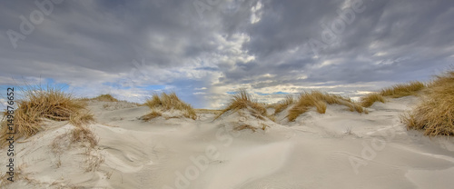 Young coastal Dune landscape