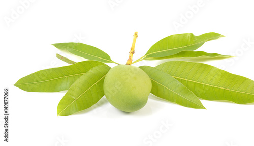 Wallpaper Mural mango isolated on white background Torontodigital.ca