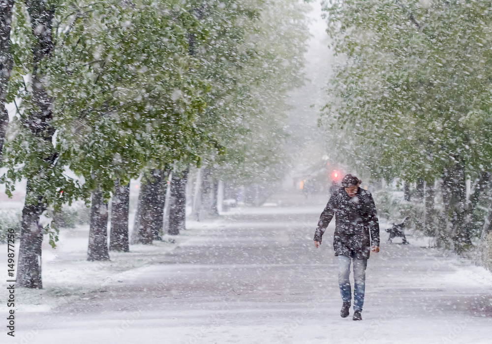Man walking on the street in Snow Storm in April. Global warming effect.