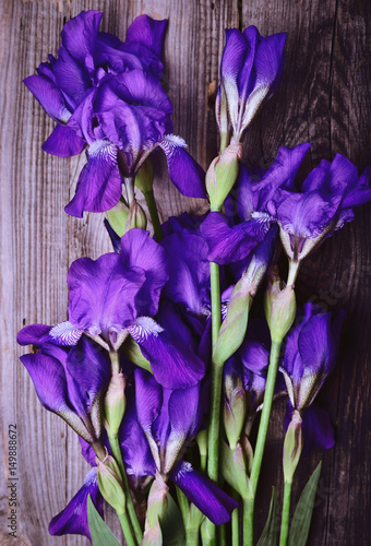 Fototapeta Naklejka Na Ścianę i Meble -  Bouquet of blue flowering irises