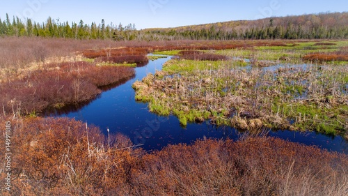 Wallpaper Mural Hay Marsh Creek - Boyne Falls Michigan Torontodigital.ca
