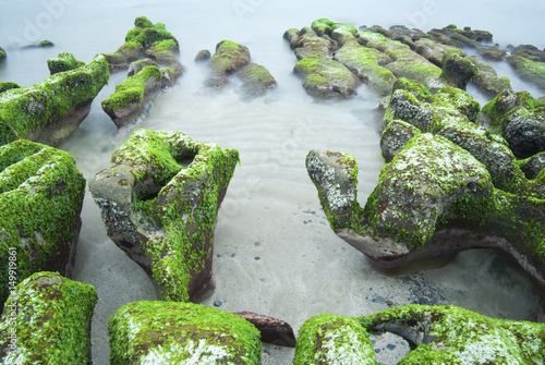 Rocky Seacoast full of green seaweed