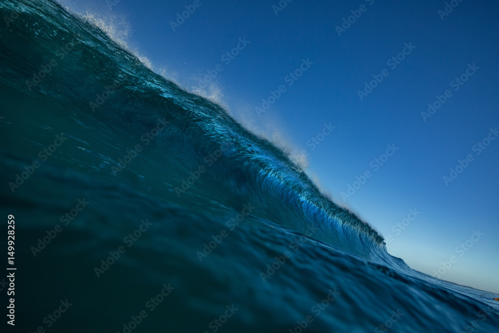 Rip Curl Wave Logo