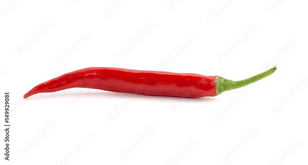 red chilli on white background red chilli on white background