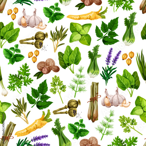 Vector seamless pattern of spice herb seasonings