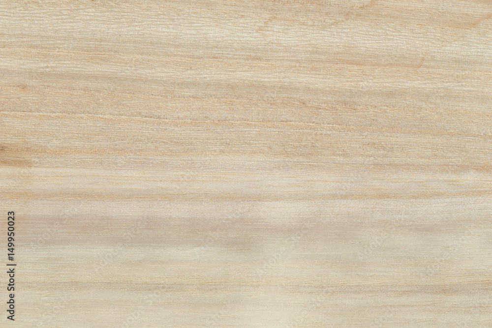 Fototapeta premium Wood texture background.