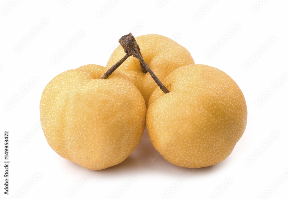 three isolated asian-pear fruit with stem three isolated asian-pear fruit with stem