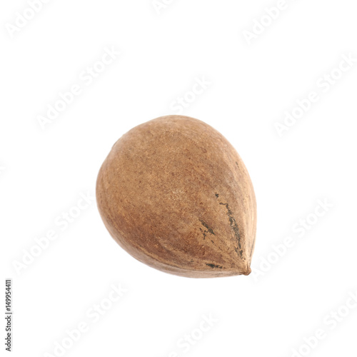 Single pecan nut isolated