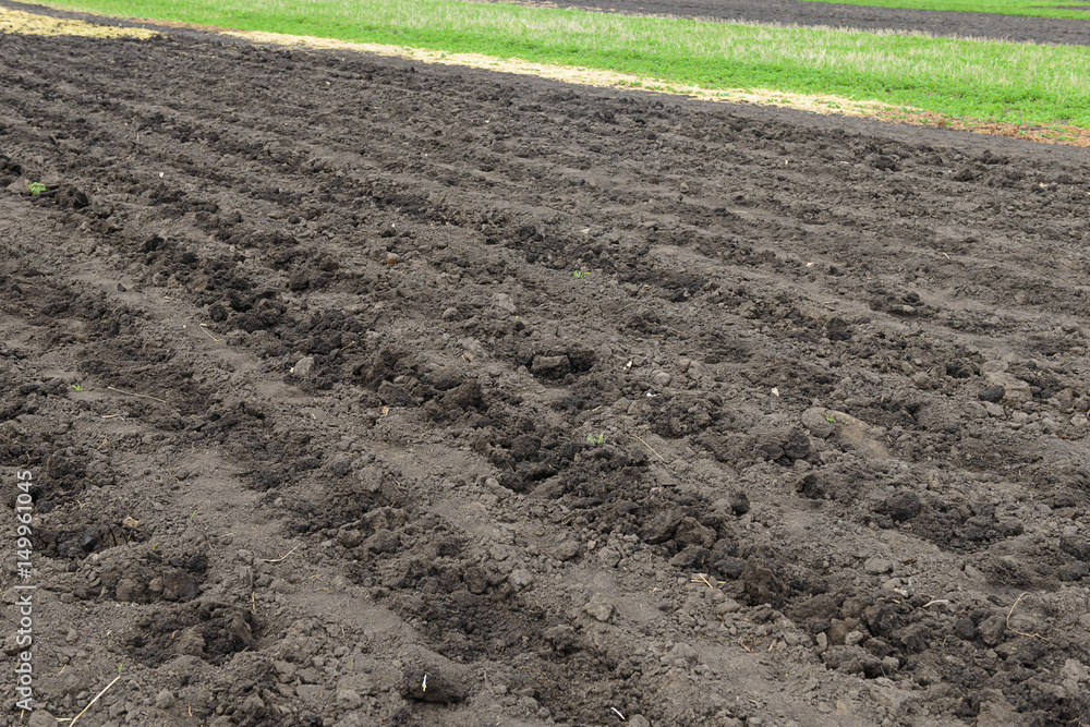 Plowed fertile field with chernozem on a spring morning