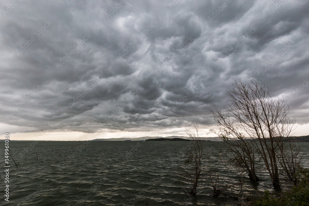 Fototapeta premium Some spectacular and menacing clouds over a lake, with some trees bent by the wind in the foreground