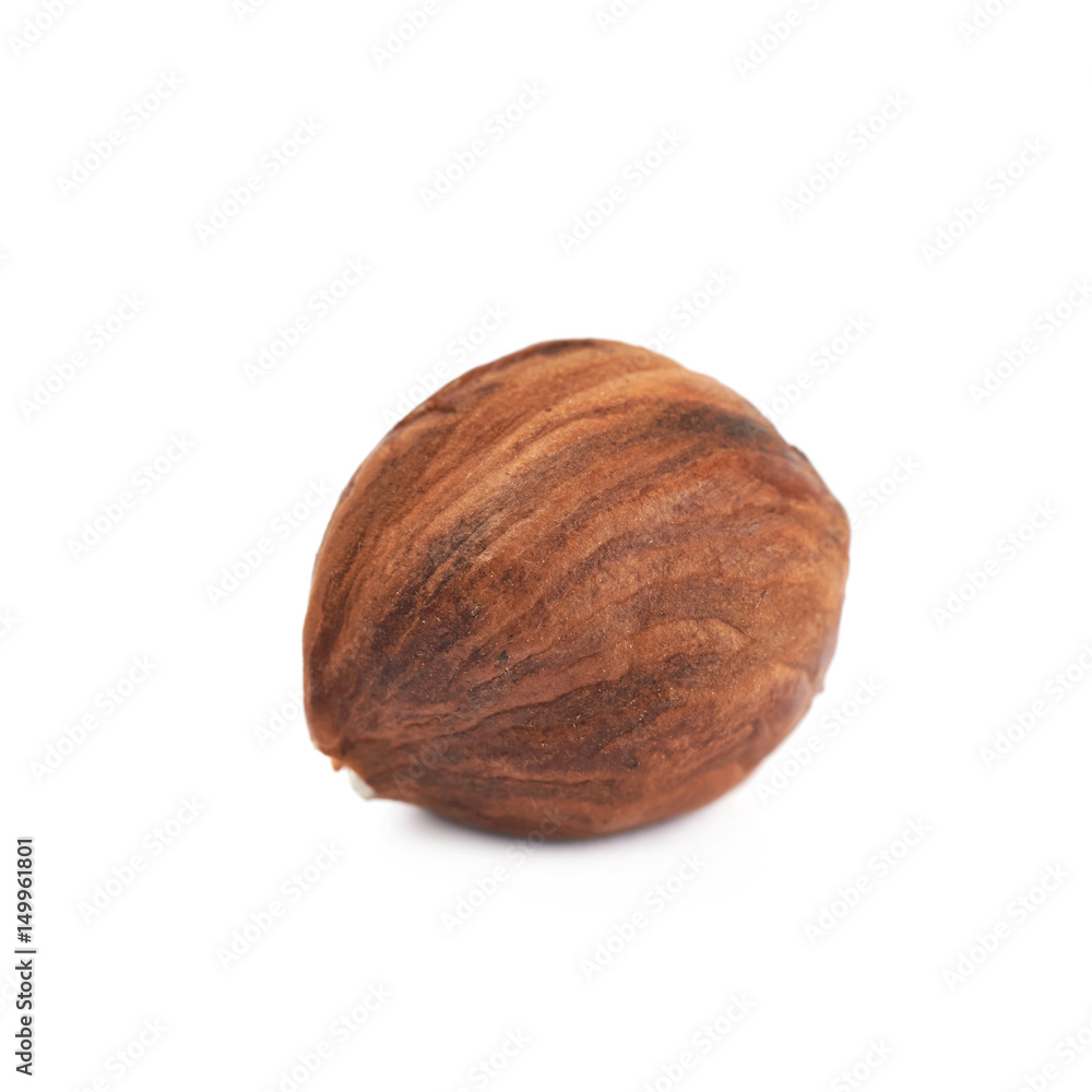Single hazelnut isolated Single hazelnut isolated