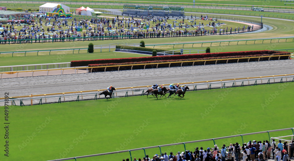 Obraz premium 競馬