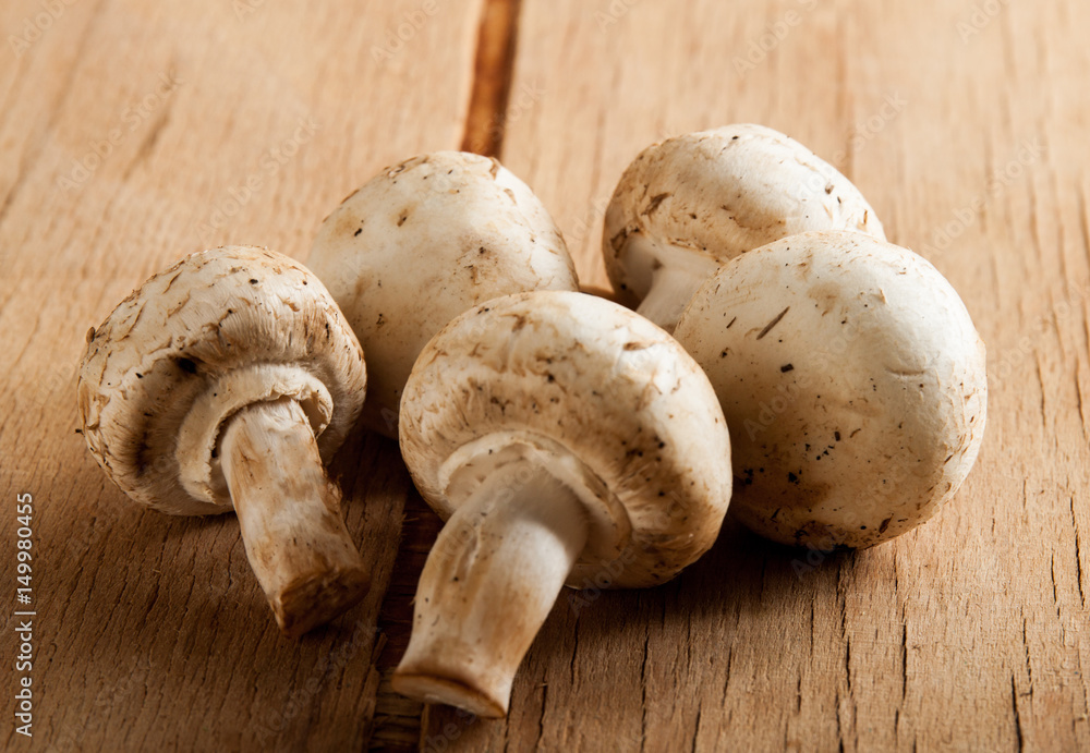 Fresh mushrooms close up Fresh mushrooms close up