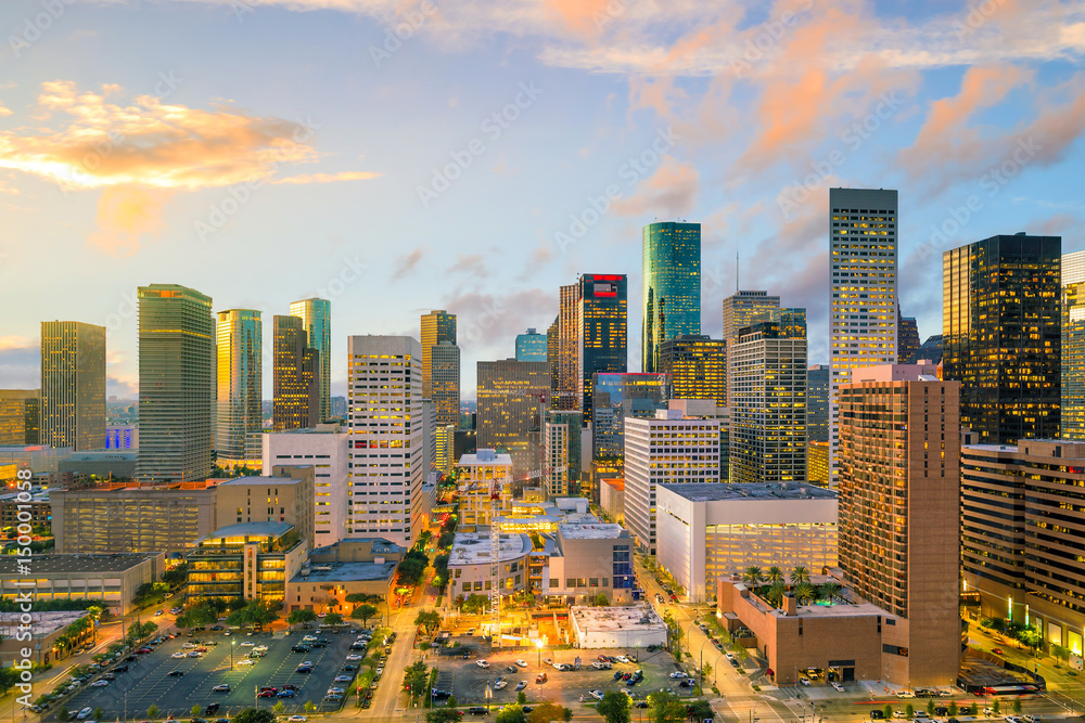 Obraz premium Downtown Houston skyline