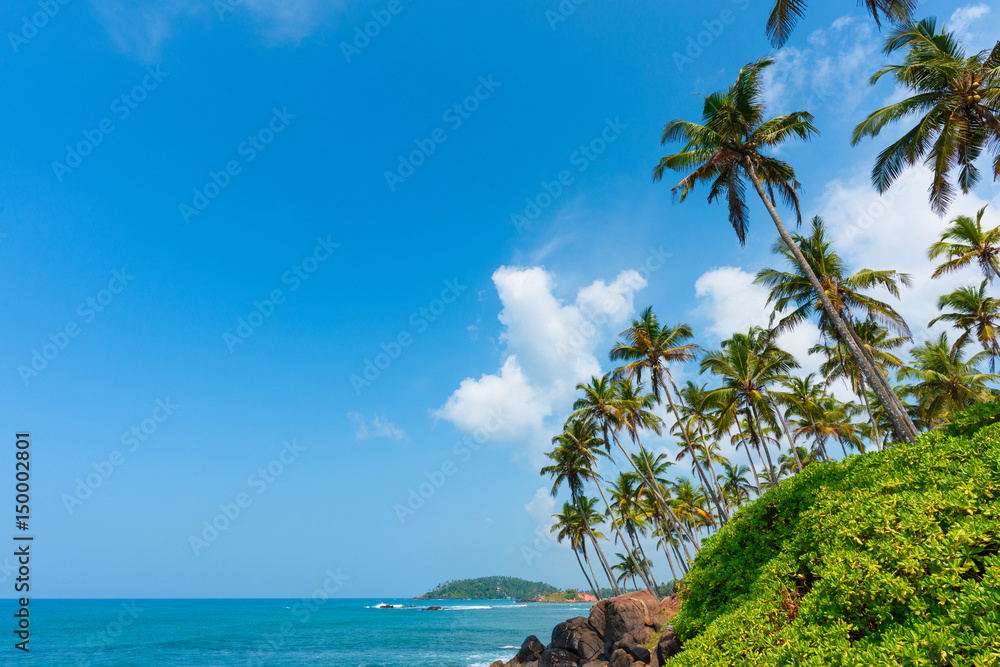 Palm trees on tropical island coast on rocks over calm ocean