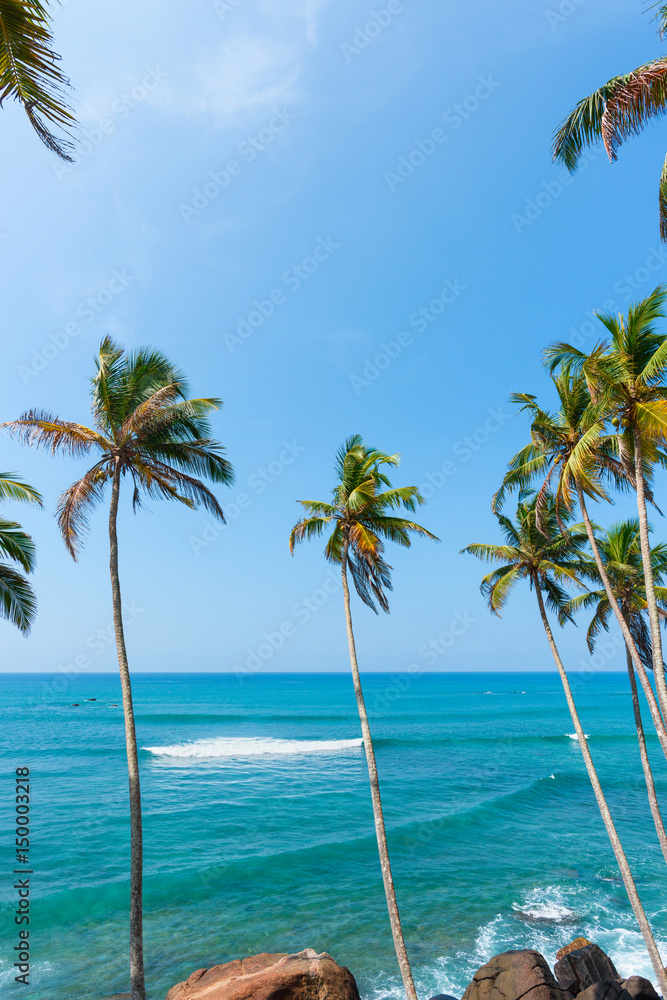 Palm trees over the ocean