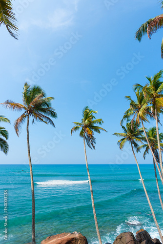 Fototapeta Naklejka Na Ścianę i Meble -  Palm trees over the ocean