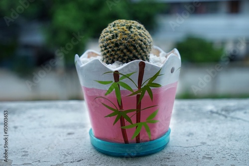 A beautiful cactus pot is a garden decorative material. Make it look strange