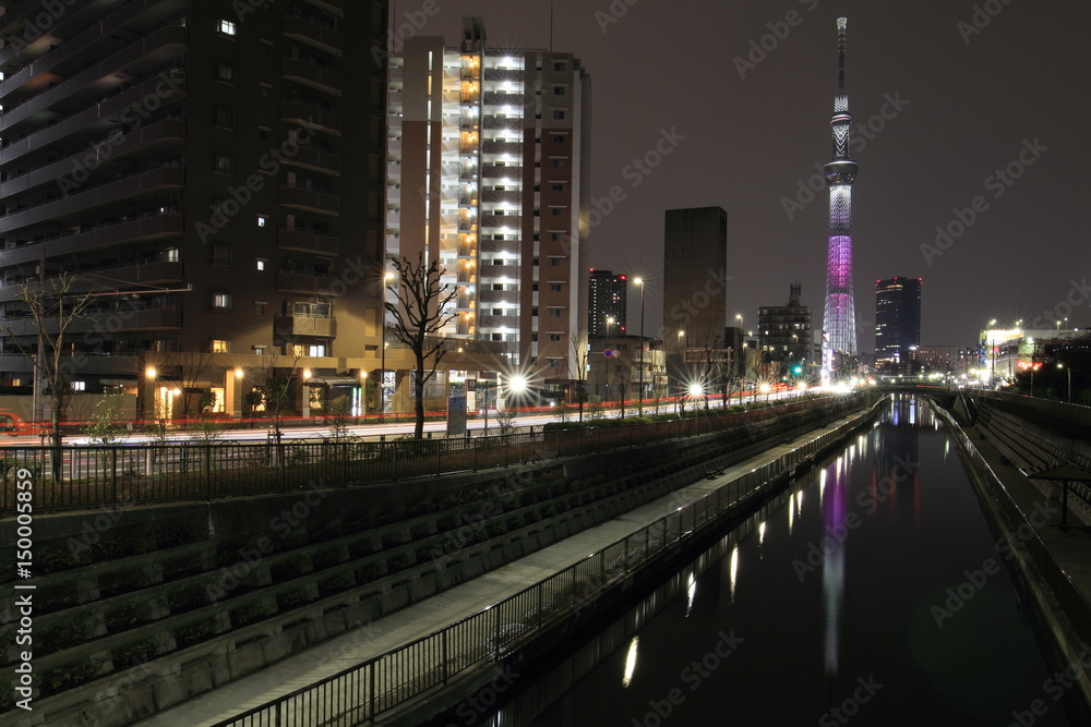 Fototapeta premium Tokyo night view