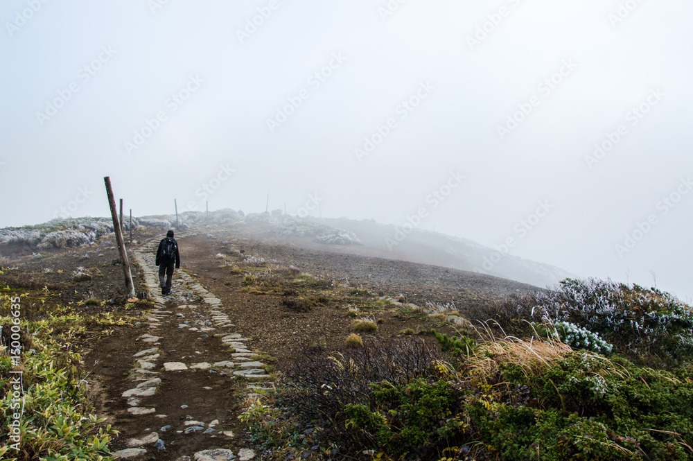 Fototapeta premium One person hiking to the peak of Mount Kumanodake - Stock image 