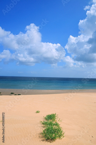 Fototapeta Naklejka Na Ścianę i Meble -  sand beach