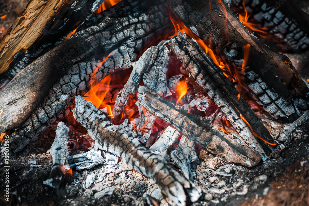Fire. A bright flame. A breeze on the nature. Forest fires. Texture of smoking coals. Fire. A bright flame. A breeze on the nature. Forest fires. Texture of smoking coals.