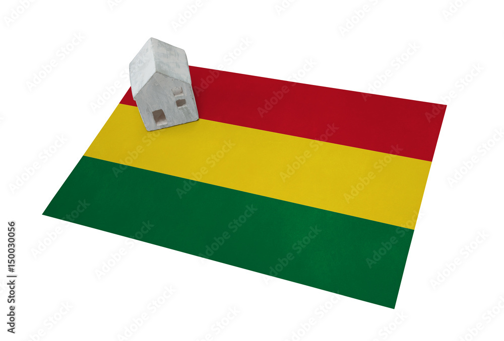 Fototapeta premium Small house on a flag - Bolivia