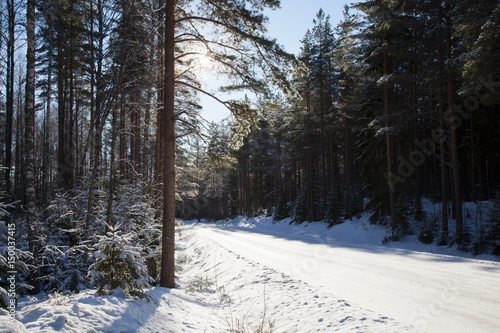 Rural snow covered road through forest photo