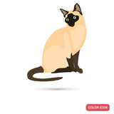 Siamese cat color flat icon for web and mobile design