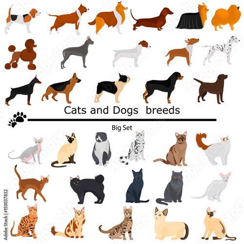 Dogs and cats set color flat icons for web and mobile design