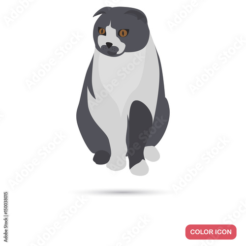 Scotish fold cat bree color flat icon for web and mobile design