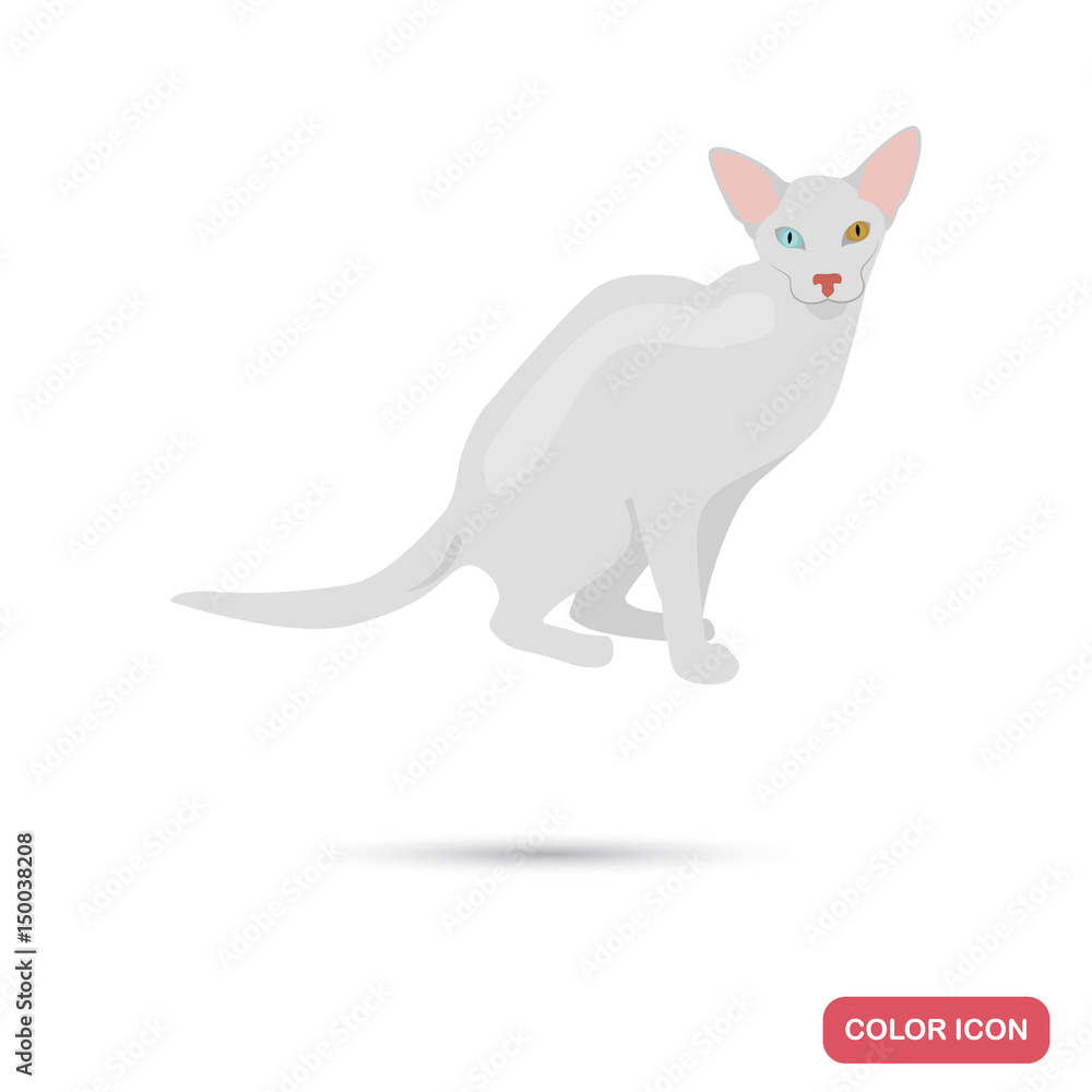 Oriental cat breed for web and mobile design
