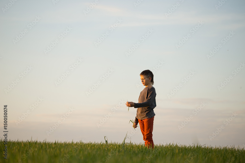 The teenager is standing in the tall grass at sunset The teenager is standing in the tall grass at sunset