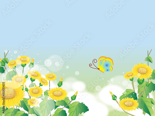 Floral summer or spring landscape  meadow with flowers  blue sky and butterflies