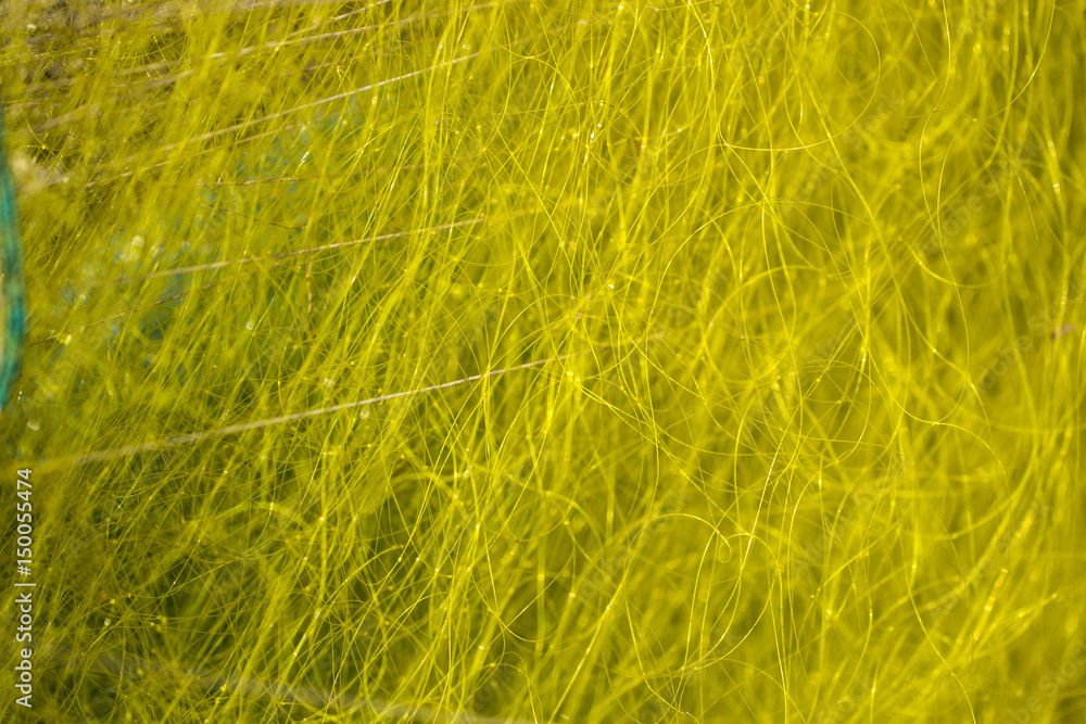 Fototapeta premium gill net set out to dry after a day of fishing