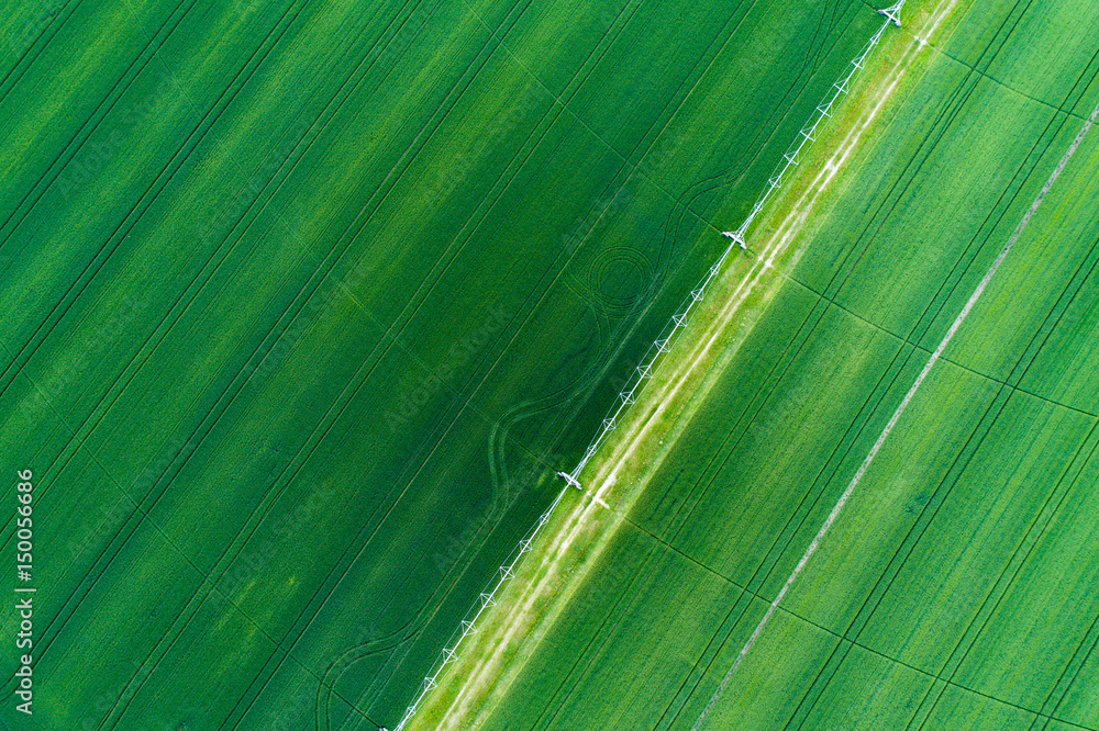 Irrigation system in wheat field Irrigation system in wheat field