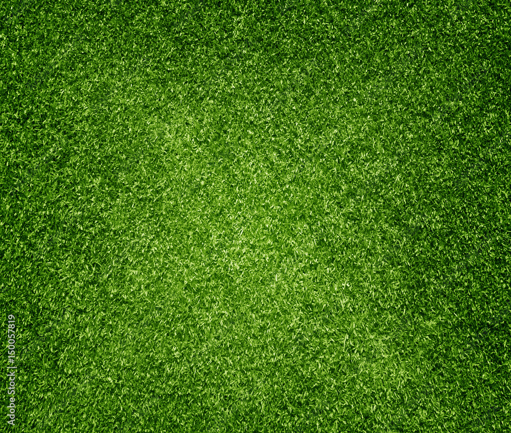 Fototapeta premium Grass