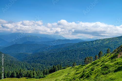 Scenic view of mountain meadow
