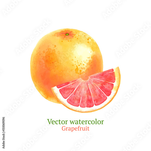 Watercolor vector grapefruit