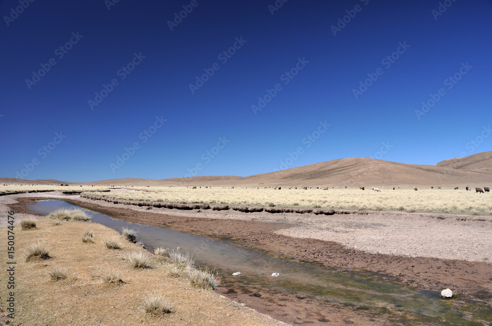 Bolivia - Salar d'Uyuni