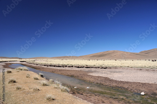 Obraz na płótnie Bolivia - Salar d'Uyuni w salonie
