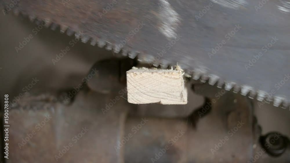 Carpenter sawing wooden plank. Close up
Carpenter sawing wooden plank. Close up