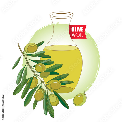 Vector composition of outline bottle with Olive oil, fruits and leaves isolated on white background. Olive branch for healthcare, food menu or natural cosmetic design in contour style.