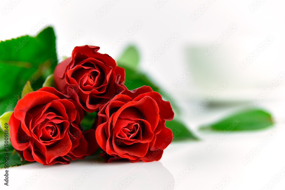 Fototapeta premium Red roses background for mother's day