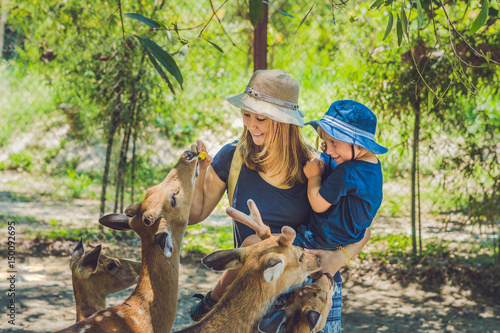 Mother and son feeding beautiful deer from hands in a tropical Zoo photo