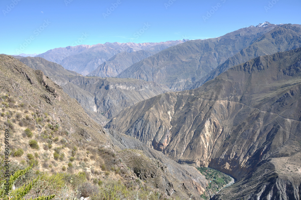 Peru - Aréquipa - Canyon  Colca