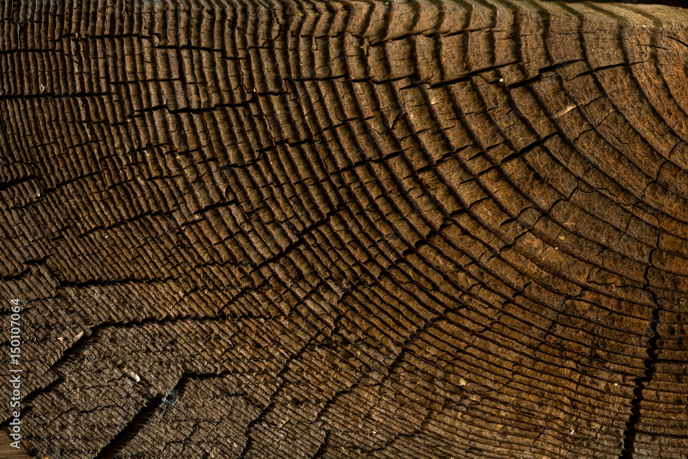 Fototapeta premium Wood texture. Abstract background.